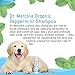 Dr. Mercola Organic Peppermint Shampoo for Dogs - 8 fl oz