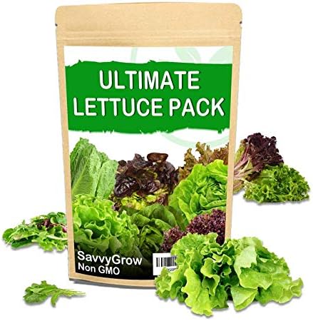 SavvyGrow Lettuce Seeds Ultimate Pack of 10 - Green Garden Seeds for Planting - Open Pollinated, 95% Plus Germination Rate, Non-GMO & Made in USA Vegetable Seed (Lettuce)