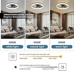 19.6" Ceiling Fans With Lights, Semi-enclosed Flush
