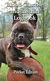 Blood Glucose and Insulin Logbook by 