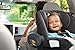Chicco Fit2 Infant & Toddler Car Seat, Fleur