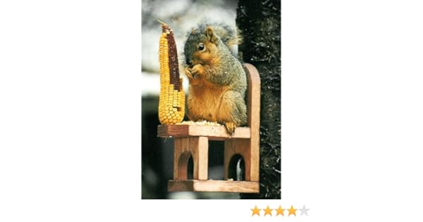 Set Of 1 Songbird Essentials Se569 Squirrel Feeder Table And Chair