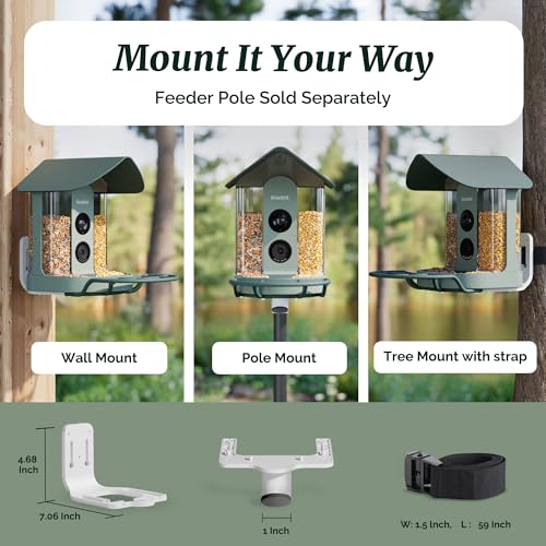 Kiwibit Smart Bird Feeder with Camera Solar Powered, 4K Video Live stream, Wireless Outdoors Bird Camera, AI Identification Bird Species, Real-Time Bird Alert, Birdwatching Gift for Bird Lovers, Green
