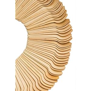 Swhf Wood Snu Bio-Degradable Disposable Spoons, 14 cm – Pack of 100, Brown