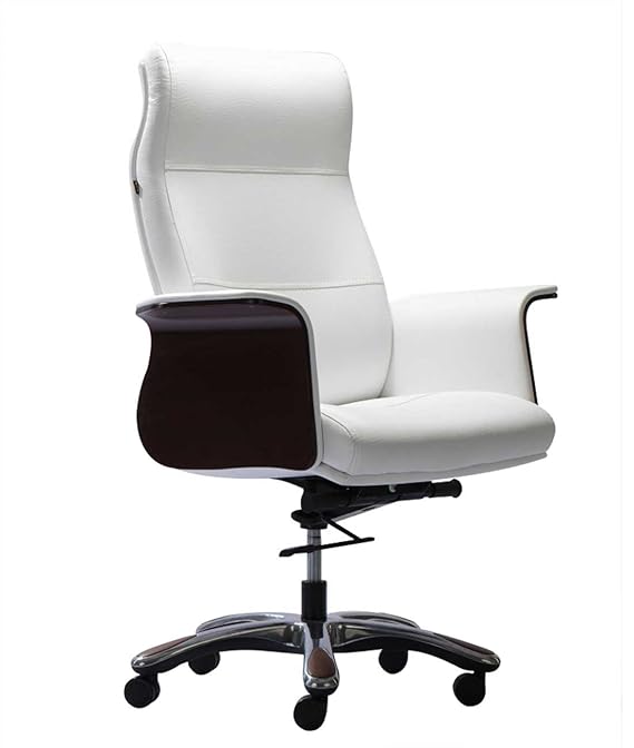 HOF Luzo 521 Office Chair (White) Amazon.in Home & Kitchen