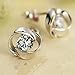Sannysis 1Pair Beautiful Silvering Crystal Shiny Ear Stud Earrings