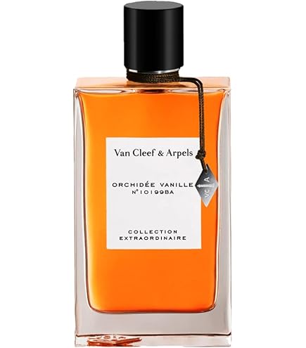 Amazon.com : Van Cleef & Arpels California Reverie Women's Edp