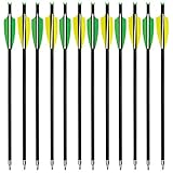 12pcs 20" Carbon Crossbow Bolts Hunting Archery 20