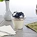 25 Count Plastic CLEAR 9 oz Cup with Insert, Flat Lid and Dome Lid, Parfait Cup w/Signature Party Picks
