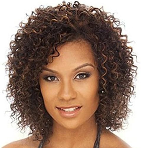 QianBaiHui Short Kinky Curly Wigs for Black Women - American African Women's Wig Heat Resistant Synthetic Hair Fashion Full Wigs (Brown-2)