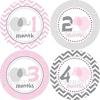 Baby Girl Month Stickers Monthly Baby Milestone Stickers Jungle Elephant II Pink Grey Gray Chevron