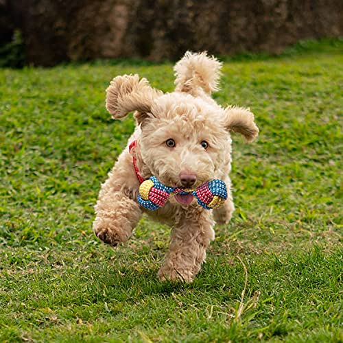 Toozey Dog Toy - 7 Durable Toys for Puppies and Small Dogs - Non-Toxic Natural Cotton Plush