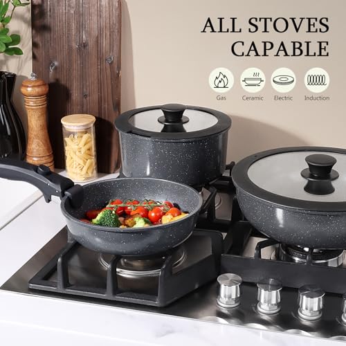 GiPP Ceramic Coating Pots and Pans Set Non Stick, 11Pcs Detachable Handle Cookware Sets, Non Toxic Induction Kitchen Pot and Pan with Removable Handle, Healthy RV Cookware, Dishwasher＆Oven Safe Grey