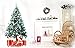 Woowell Shatterproof Ornaments Christmas tree decoration, 54 Set Luxury Collection Turquoise Assorted Xmas Balls, Reusable Hand-held Gift Box (Turquoise)