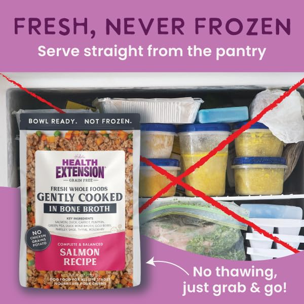 HEALTH EXTENSION GENTLY COOKED GRAIN-FREE SALMON DOG FOOD, HUMAN-GRADE & SHELF-STABLE WITH SUPERFOODS, SUPPORTS DIGESTION, IMMUNITY, SKIN & COAT, 3 OZ POUCH (PACK OF 20)