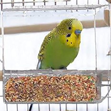 Amazon Com Fidgetfidget Spill Proof Seed Bird Feeder Parrot Toys