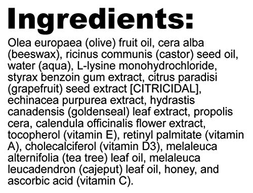 NutriBiotic Skin Ointment .5 Fl Oz | with GSE, Lysine, Beeswax, Echinacea, Goldenseal, Vitamin E & More | for Minor Skin Irritations & to Support Healthy Tissue | Made without Gluten & GMOs