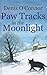 Paw Tracks In The Moonlight by Denis O'Connor