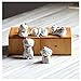 Ownstyle Cute Lucky Cat Ceramic Maneki Neko Fortune Cats Money Drawing Mascot Novelty Business Gifts Cat 5 Pcs A Set