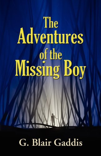 THE ADVENTURES OF THE MISSING BOY