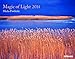 Magic of Light 2014 - Micha Micha Pawlitzki