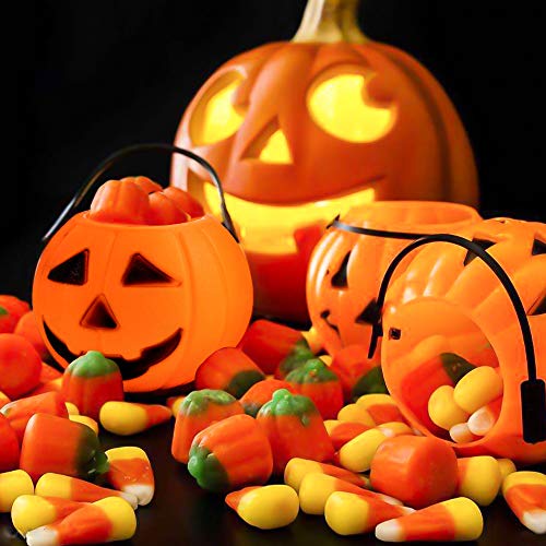 SHAN RUI 24Pack Mini Halloween Trick or Treat Buckets Candy Buckets with Handle for Halloween Party Favors