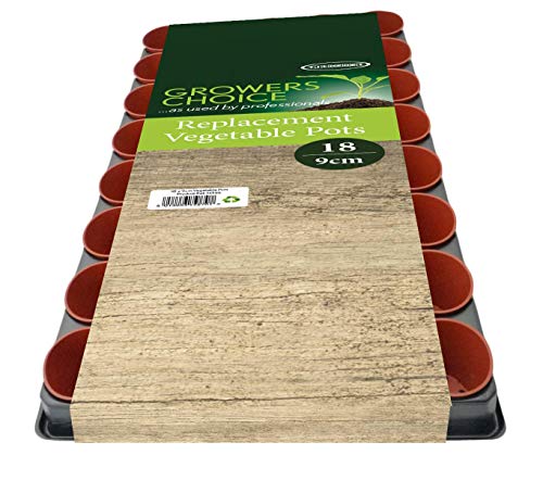 Bosmere Seed and Cutting Tray with 40 Pots, GF8711