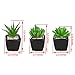 MyGift Set of 3 Modern Home Decor Mini Succulent Artificial Plants with Square Black Ceramic Pots