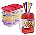 Health & Diet 3 Compartment Plastic Bento Lunch Box with Matching Combi Spoon - Set of 4