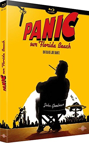 Panic Sur Florida Beach