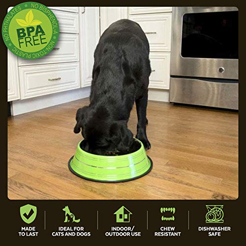 Iconic Pet Color Splash Stripe NonSkid Pet Bowl, 32Ounce, Green