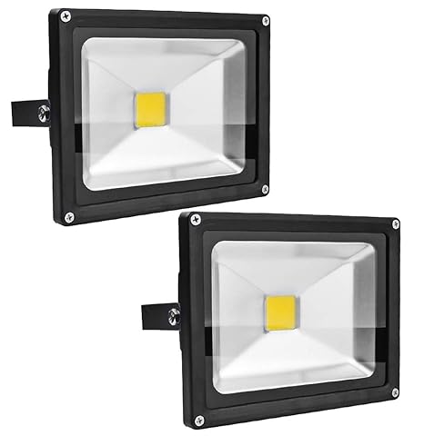 Leetop 2X 20W 30W 10W Negro Blanco Cálido Foco Proyector LED ...