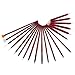 Glow 20 piece Nail Art Brushes and Nail Dotting Tools Set; Red/Maroon