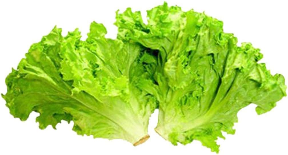 cietact Seeds- Healthy Bok Choy Seeds Lettuce Seeds Rich in β - carotene, vitamin B