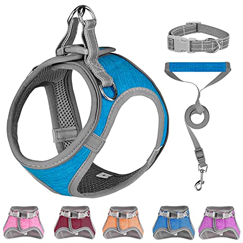 dog collars & harnesses
