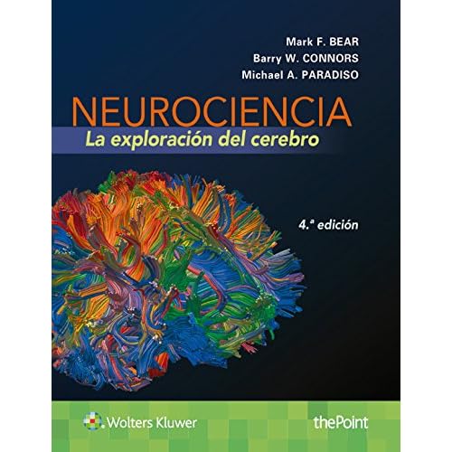 Neurociencia. La exploración del cerebro