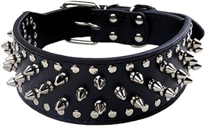 leather dog collars amazon