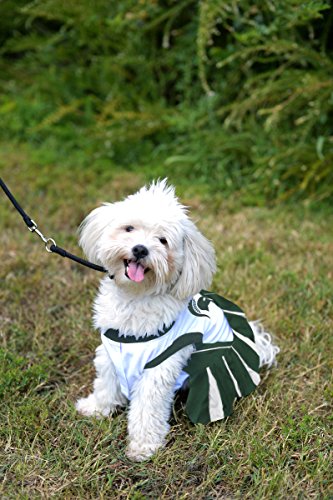 NCAA Michigan State Spartans Dog Cheerleader Outfit, Small