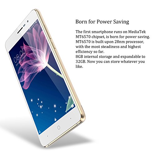 Móviles y Smartphones Libres, DOOGEE X10 Teléfono Móvil Libre y sin Bloqueo de SIM Baratos - 5 Pulgadas con Pantalla HD - Procesador QuadCore MT6570 - 8GB ROM - 2.0MP + Cámara de 5.0MPX - Dual SIM 3G, Bateria con 3360mAh, Bluetooth 4.0 - Oro