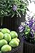 Keter Resin Wicker Cylinder Flower Pot Set of 3 Small, Medium, and Large Planters with Drainage Plugs for Outdoor or Indoor Plants