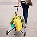 Hook and Go Portable Folding Supermarket Shopping Cart