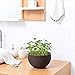 QEESTARS 2 pcs Round Plastic Resin Chain Basket Hanging Planter Hanging Flowers and Plants,Growers Hanging Planter Decor Pot with Watering Can