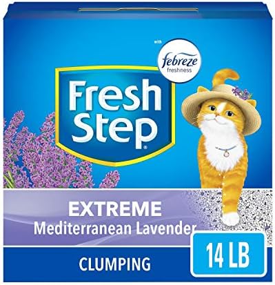 fresh step lavender
