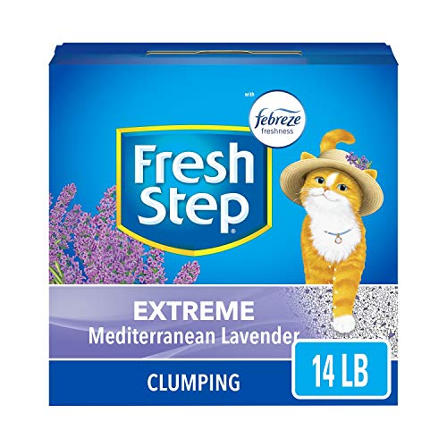 fresh step lavender