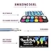 Crafts & Colors Face and Body Paint Kit – Set of 12 Classic Colours with Flat and Detail Painting Brushes – Comes w/ 30 Design Stencils – Non Toxic, Water Based and FDA Compliant