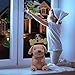 KOOLSEN Led Christmas Light Projector - 2017 Newest Version Bright Led Landscape Spotlight with 16 Slides Dynamic Lighting Landscape Led Projector Light Show for Halloween, Party, Holiday Decoration