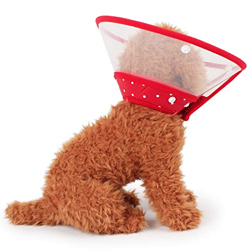 Xeminor Restoration Cone Collar for Dogs and Cats Clear Padded Protection Collar with Soft Edge Breathable