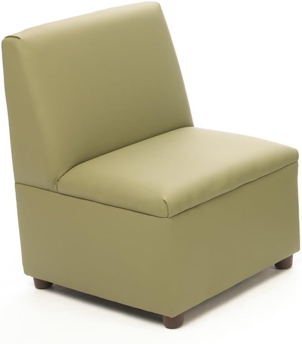 Brand New World Modern Casual Enviro-Child Upholstery Chair - Sage