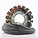 RMSTATOR Stator Replacement for Can-Am Renegade 800R 1000 / Outlander MAX R DPS XT XMR - 650 800 1000R 2010-2020 XXC XTP LTD | OEM Repl.# 420685630/420685631 / 420685632
