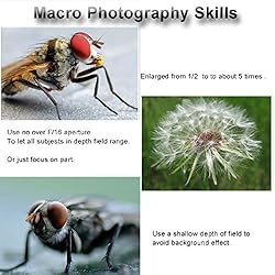 Mcoplus Extnp Auto Focus Macro Extension Tube Set